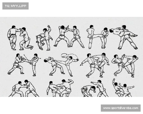 传统武术回应实战争议系统化进军现代职业搏击赛场与规则对接路径